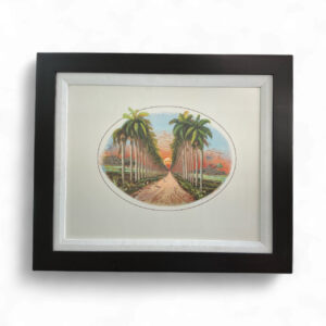 Framed Art Print 25.5x21.5 – Cuban Landscape Collection