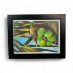 Framed Canvas 22x17 – Tropical Nature Collection