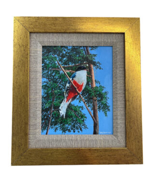 Framed Art 15.5x14 – Cuban Nature Collection